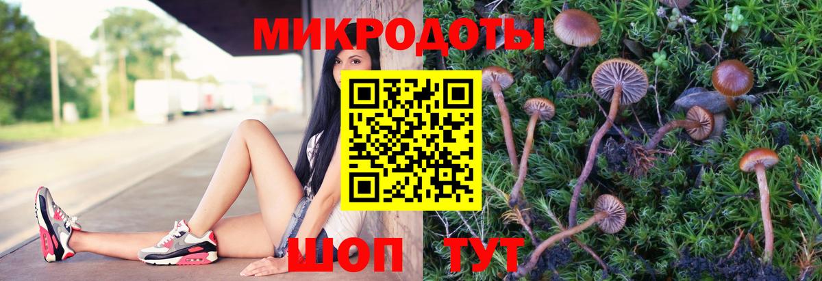 Псилоцибиновые грибы Magic Shrooms Соль-Илецк